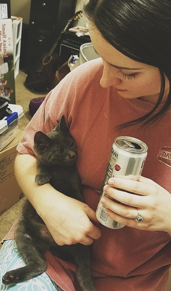 Posher - Picture 4 of 5